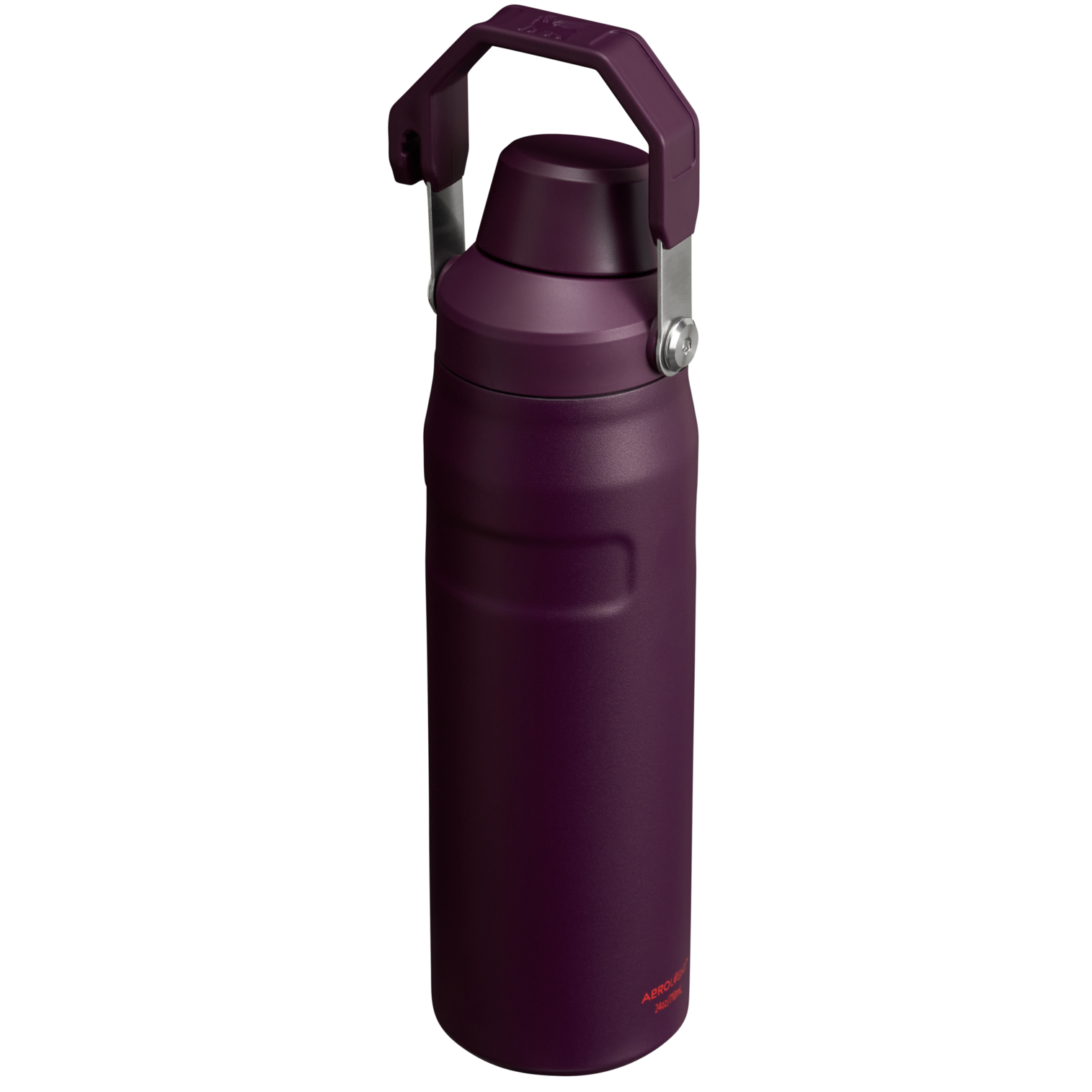 IceFlow Bottle with Fast Flow Lid | 24 OZ - Image 38